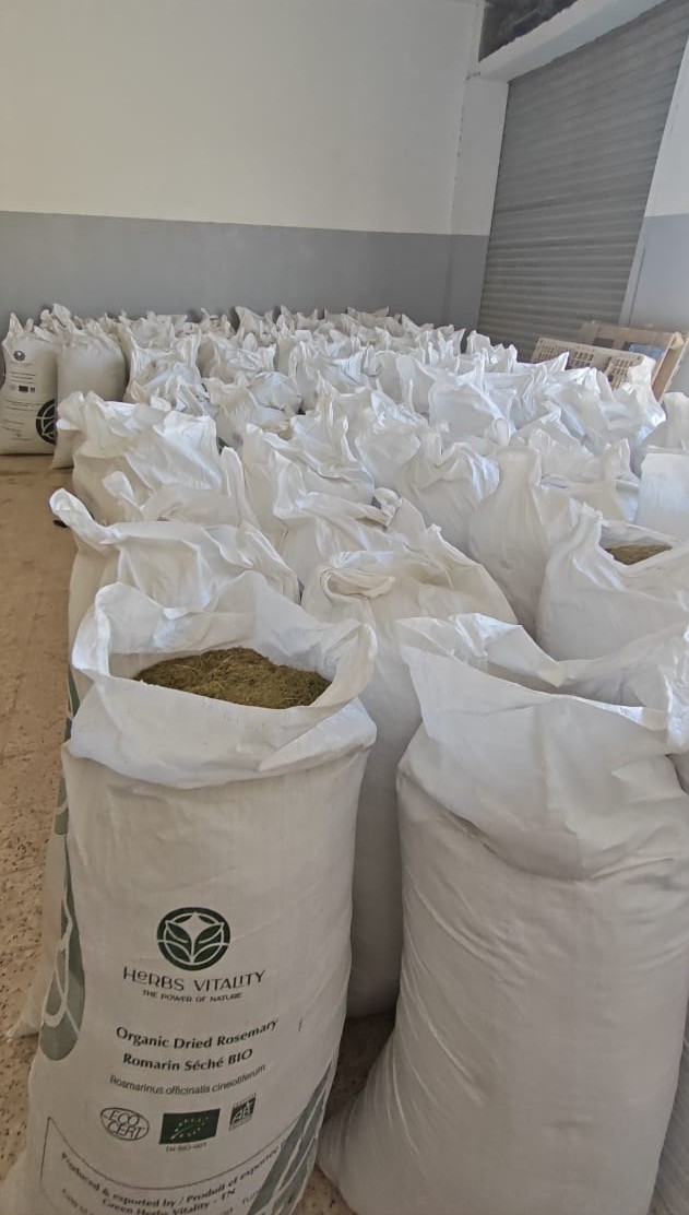 Herbs Vitality bulk export bags — Organic Dried Rosemary ready for dispatch